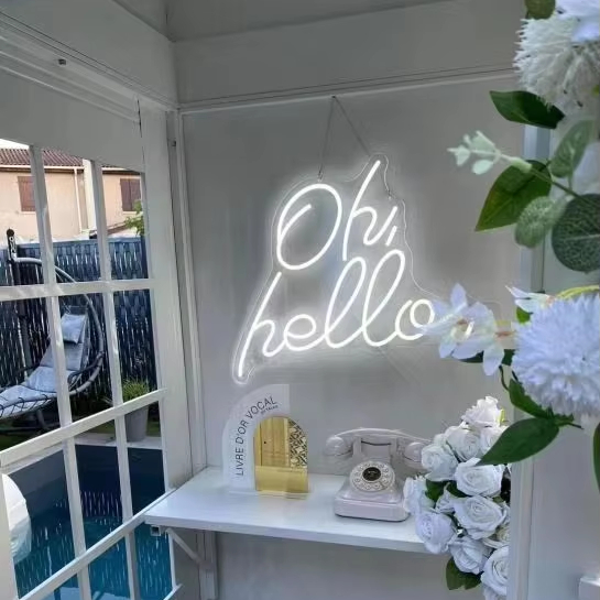 Неоновая вывеска FY Custom LED – обзор и цена Neon Sign Custom Led